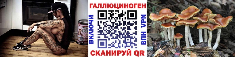 KRAKEN зеркало  Верхнеуральск  Галлюциногенные грибы мицелий 